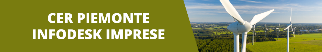 CER Piemonte - Infodesk imprese
