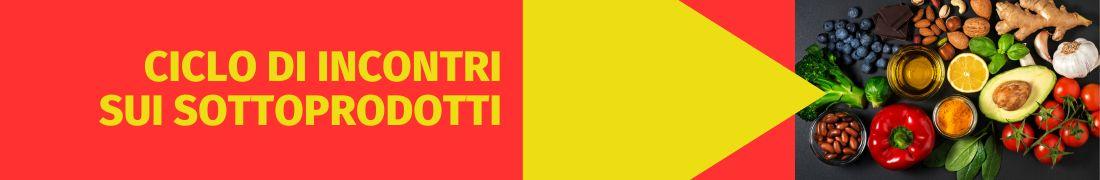 I sottoprodotti: esperienze in Piemonte e opportunità di finanziamento I sottoprodotti: esperienze in Piemonte e opportunità di finanziamento