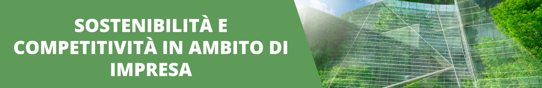 Sostenibilità e competitività in ambito di impresa Sostenibilità e competitività in ambito di impresa