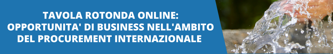Tavola rotonda online: opportunità di business nell'ambito del procurement internazionale