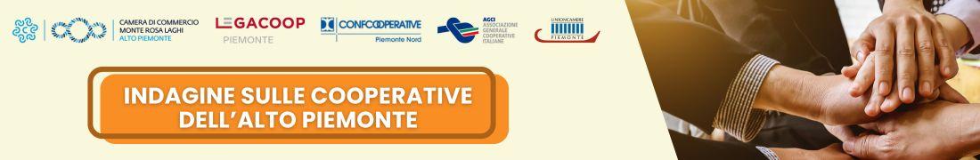 Presentazione dell'indagine sulle cooperative dell'Alto Piemonte
