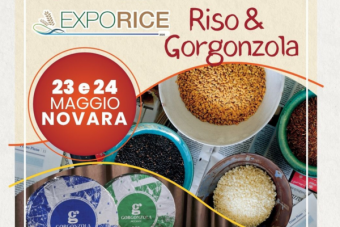 ExpoRice "Riso&Gorgonzola" 2026: appuntamento il 23 e il 24 maggio al Salone Borsa di Novara