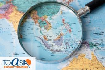 TOAsia Export Training Piemonte 2026: iscrizioni entro il 31 maggio